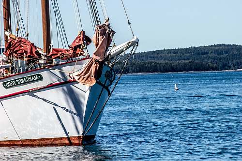 bar harbor white and red boat on water during daytime united states